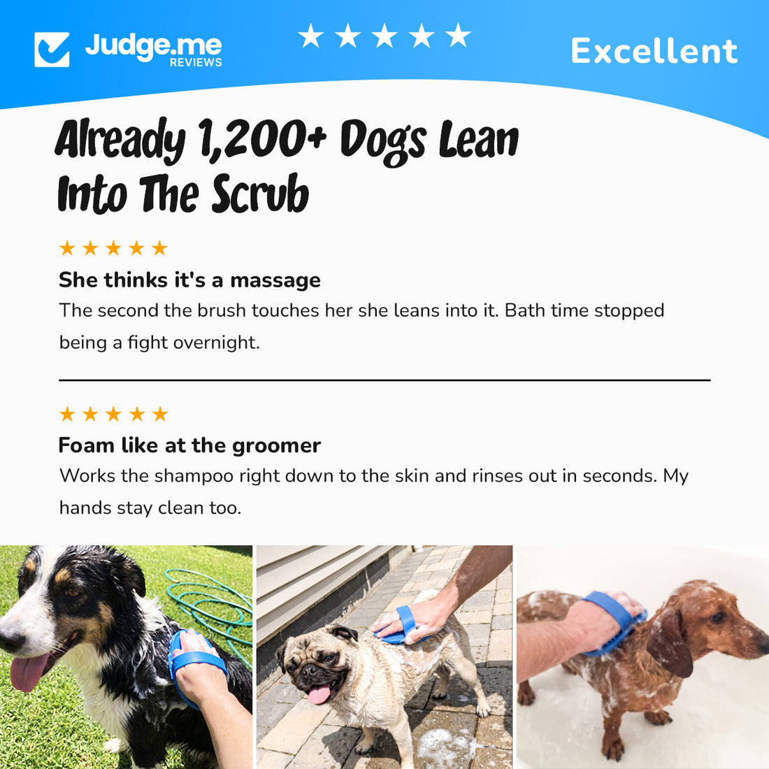 Judge.me reviews: already 1,200 dogs lean into the scrub
