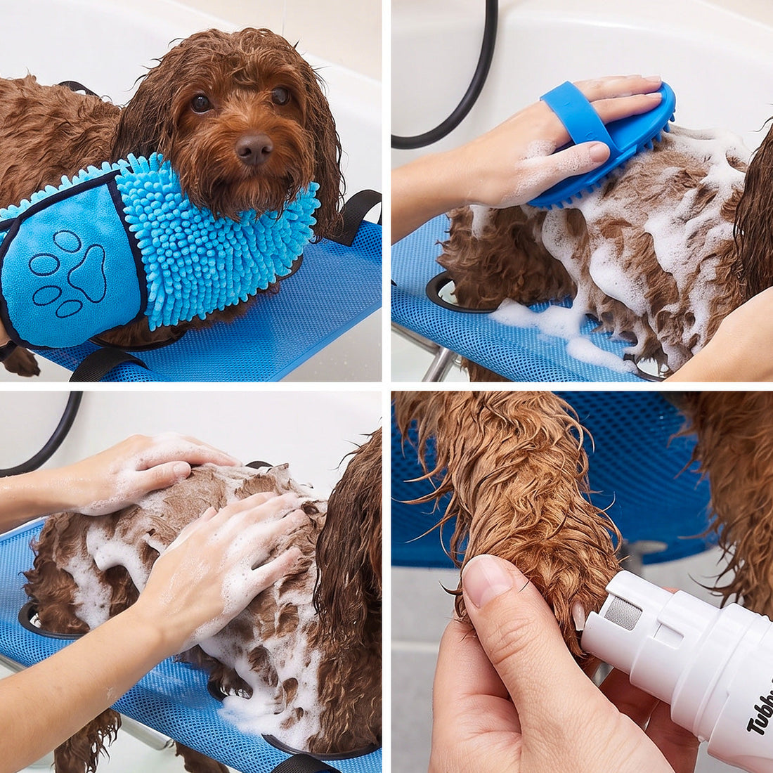 Dog being washed, brushed and dried on the Groomy stand