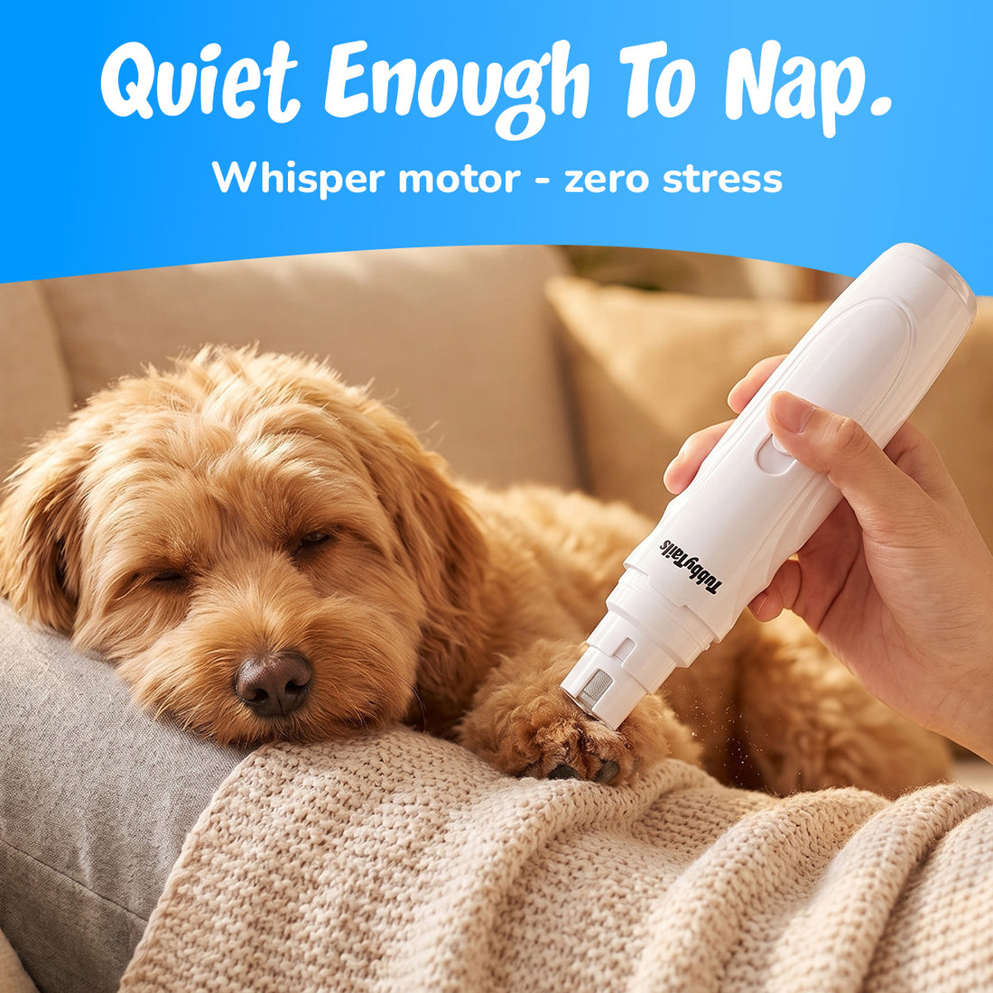 Quiet enough to nap: dozing dog while the whisper motor runs
