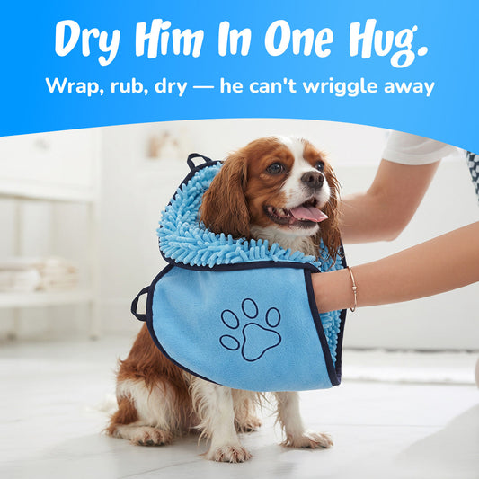 Dry him in one hug: spaniel wrapped in the blue towel