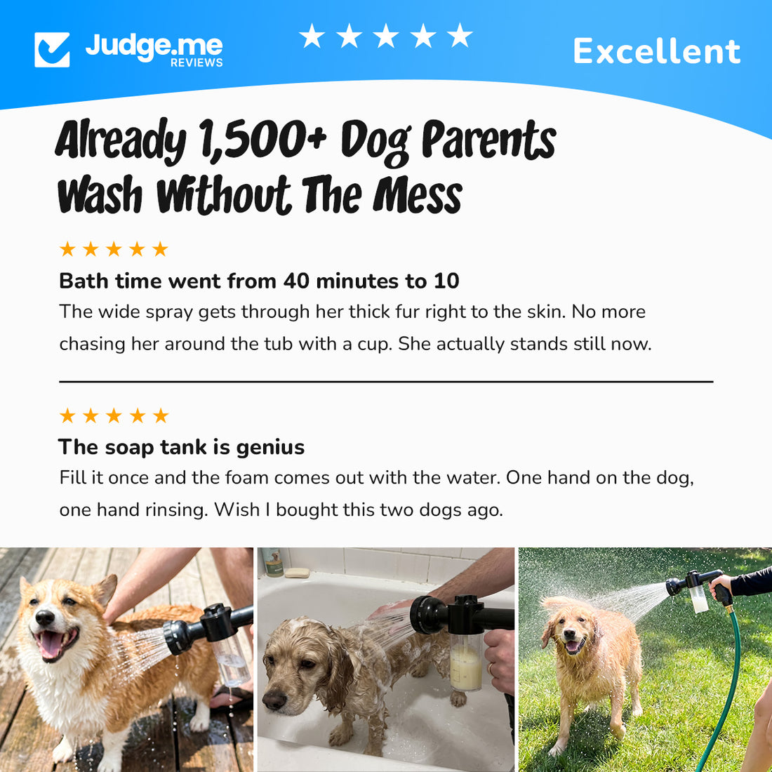 Judge.me reviews: already 1,500 dog parents wash without the mess